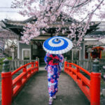 Soutaipasu A Short Review of Japanese Culture Soutaipasu