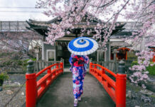 Soutaipasu A Short Review of Japanese Culture Soutaipasu