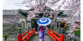 Soutaipasu A Short Review of Japanese Culture Soutaipasu