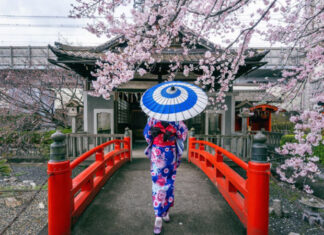 Soutaipasu A Short Review of Japanese Culture Soutaipasu