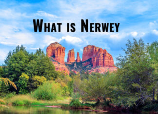 Nerwey Explore the World with Us nerwey
